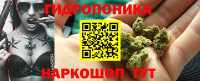 spice Будённовск